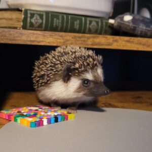 Professor Hershel the Hedgehog